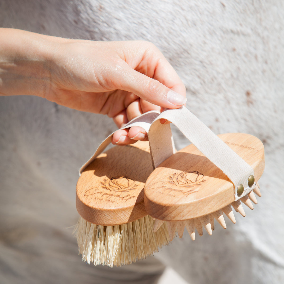 A close-up of a hand holding a wooden horse grooming brush with natural bristles and a white strap against a light gray horse's body.