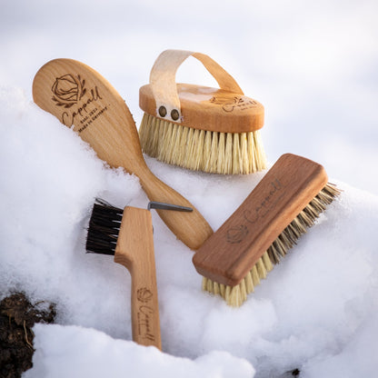 Cappalls Pferde Putzzeug Set aus Kardätsche, Wurzelbürste, Hufkratzer und Mähnenbürste liegt im Schnee. 