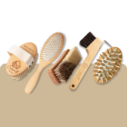 Deluxe Pferdebürsten Set