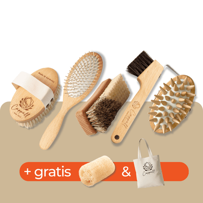 Deluxe Pferdebürsten Set